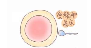 試管嬰兒的價格要多少