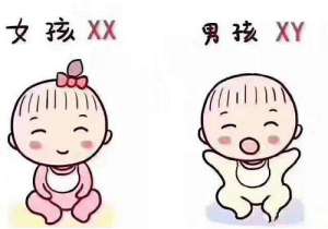 在美國做試管嬰兒多少錢
